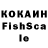COCAIN FishScale Do Spoluchnyx..