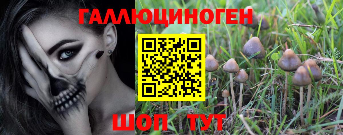 Псилоцибиновые грибы Magic Shrooms Советская Гавань