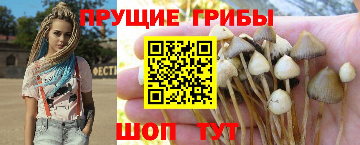 МЕФ   ГАШ  Советская Гавань  Бошки Шишки  Бошки Шишки  Вход с VPN  Гашиш  Cocaine  АМФ кристаллы 
