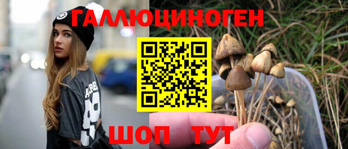 Галлюциногенные грибы мухоморы  сколько стоит  Советская Гавань  Вход с VPN  Галлюциногенные грибы мицелий 
